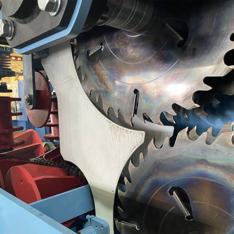 Бревнопильный станок Форта