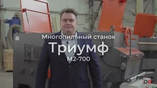 Двухвальный многопильный станок ТРИУМФ М2-700