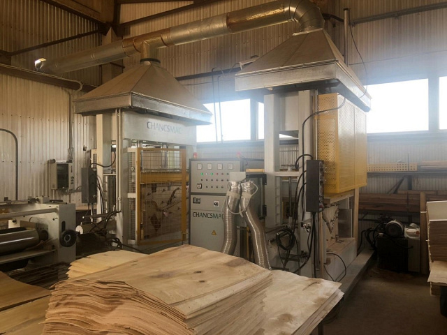 Гидравлический пресс для производства гнуто-клееных изделий VP-20/10TH