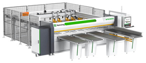 Форматно-раскроечный центр с ЧПУ Nanxing NP638DR