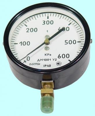 Манометр ДМ 1001 У2  показывающий, кл.т 1 пред.изм.  0 - 2.5 МПа г.в. 1992