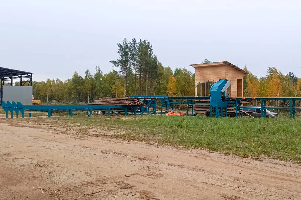 Линия сортировки с раскряжевкой бревна LSR 1250