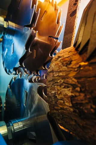 Бревнопильный станок Walter TD-350 KBA (30 + 37 кВт)