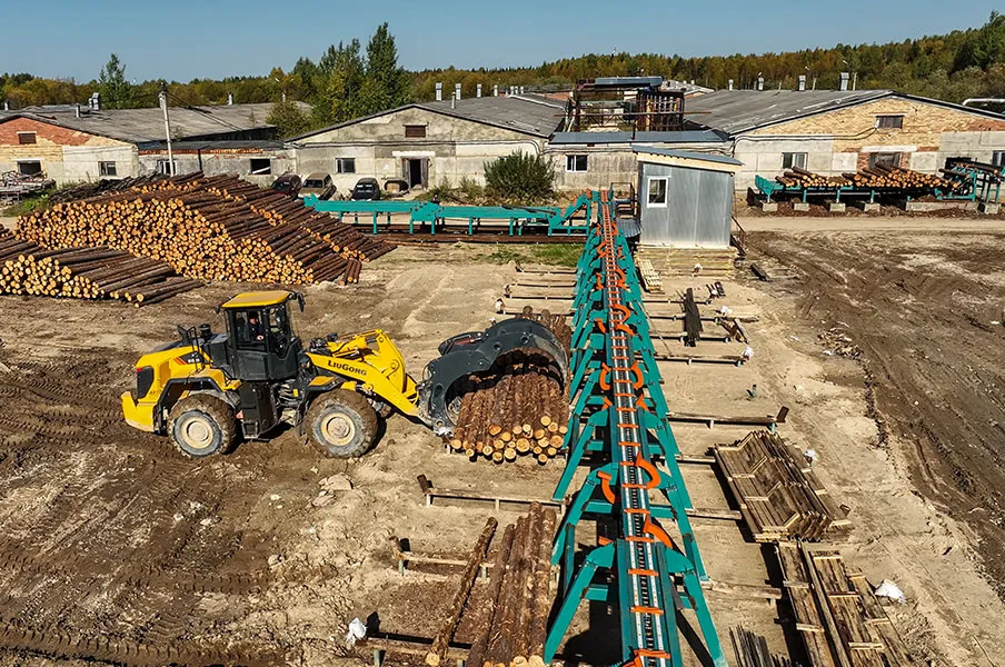 Линия сортировки бревна Cronver LSB 300