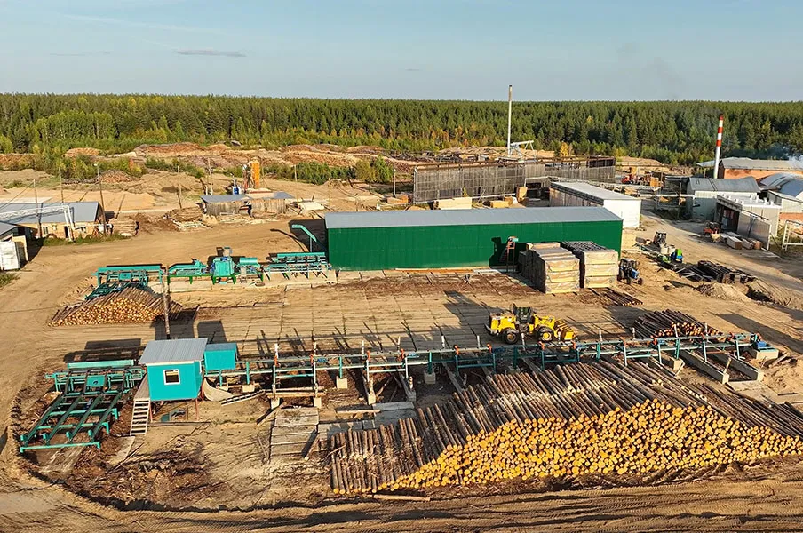 Линия сортировки бревна Cronver LSB 300