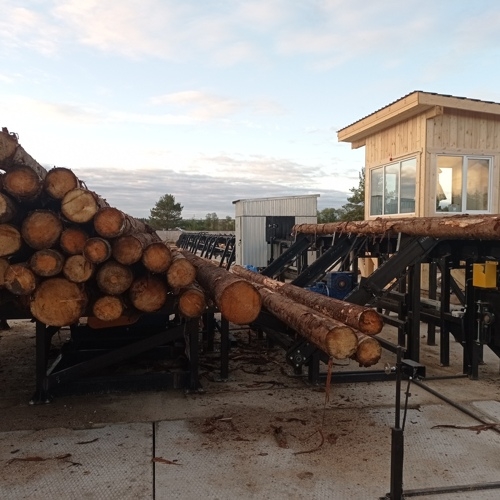 Линия сортировки бревен на 10 карманов