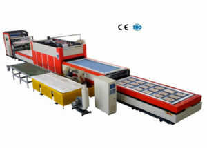 Автоматическая линия мембранно-вакуумного прессования TZM TM 3600 P3