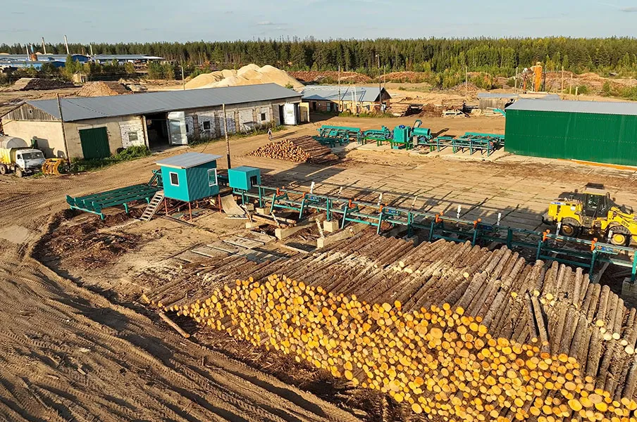 Линия сортировки бревна Cronver LSB 300