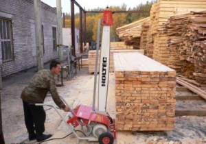 Торцовочнай станок пакетов PICCOLO