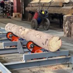 Цепной кантователь бревна