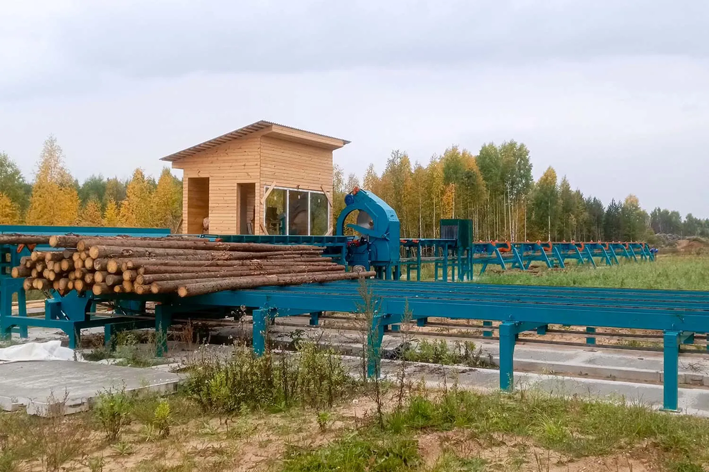 Линия сортировки с раскряжевкой бревна LSR 1250