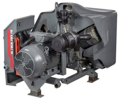 Воздушный поршневой компрессор Dalgakiran W166